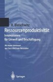 Ressourcenproduktivität (eBook, PDF)