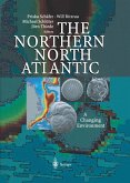 The Northern North Atlantic (eBook, PDF)