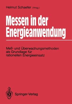 Messen in der Energieanwendung (eBook, PDF)