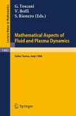 Mathematical Aspects of Fluid and Plasma Dynamics (eBook, PDF)