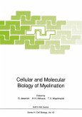 Cellular and Molecular Biology of Myelination (eBook, PDF)