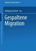 Gespaltene Migration (eBook, PDF)