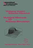 Multigrid Methods for Process Simulation (eBook, PDF)
