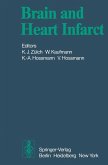 Brain and Heart Infarct (eBook, PDF)