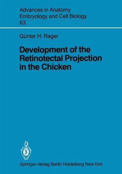 Development of the Retinotectal Projection in the Chicken (eBook, PDF) - Rager, Günther