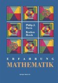 Erfahrung Mathematik (eBook, PDF)