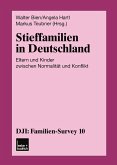 Stieffamilien in Deutschland (eBook, PDF)