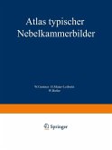 Atlas typischer Nebelkammerbilder (eBook, PDF)