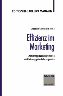 Effizienz im Marketing (eBook, PDF)