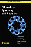 Bifurcation, Symmetry and Patterns (eBook, PDF)