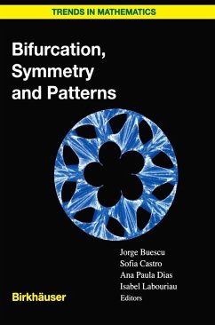 Bifurcation, Symmetry and Patterns (eBook, PDF)
