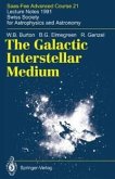 The Galactic Interstellar Medium (eBook, PDF)
