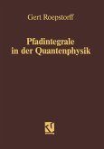 Pfadintegrale in der Quantenphysik (eBook, PDF)