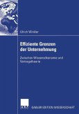 Effiziente Grenzen der Unternehmung (eBook, PDF)