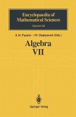 Algebra VII (eBook, PDF)