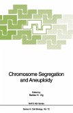 Chromosome Segregation and Aneuploidy (eBook, PDF)