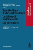 Berufsbedingte Wirbelsäulenschäden Unfallbegriff und Kausalität. Die Thrombose (eBook, PDF)