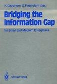 Bridging the Information Gap (eBook, PDF)