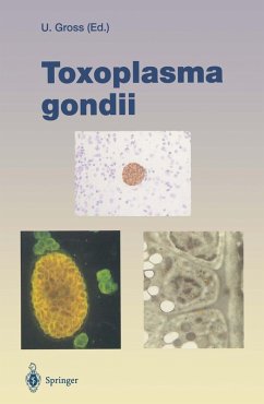 Toxoplasma gondii (eBook, PDF)