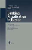 Banking Privatisation in Europe (eBook, PDF)