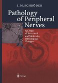Pathology of Peripheral Nerves (eBook, PDF)