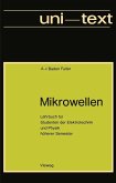 Mikrowellen (eBook, PDF)