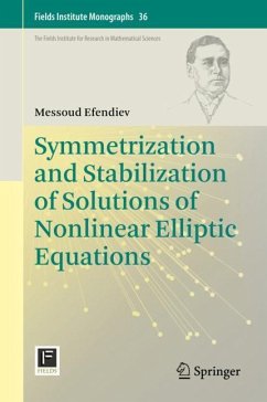Symmetrization and Stabilization of Solutions of Nonlinear Elliptic Equations - Efendiev, Messoud