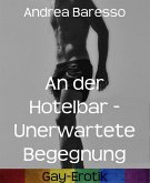 An der Hotelbar - Unerwartete Begegnung (eBook, ePUB) An der Hotelbar - Unerwartete Begegnung (eBook, ePUB)