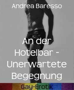 An der Hotelbar - Unerwartete Begegnung (eBook, ePUB) Cover An der Hotelbar - Unerwartete Begegnung (eBook, ePUB)