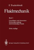 Fluidmechanik (eBook, PDF)