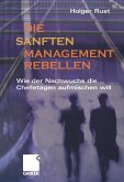 Die sanften Managementrebellen (eBook, PDF)