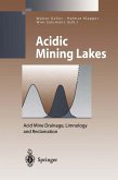 Acidic Mining Lakes (eBook, PDF)
