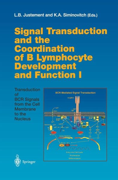Signal Transduction and the Coordination of B Lymphocyte Development and Function I (eBook, PDF)