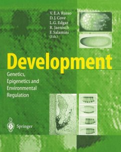Development (eBook, PDF)
