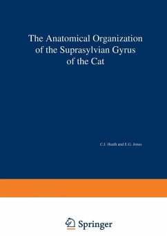 The Anatomical Organization of the Suprasylvian Gyrus of the Cat (eBook, PDF) - Heath, C. J.; Jones, E. G.