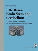 The Human Brain Stem and Cerebellum (eBook, PDF)