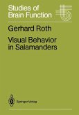 Visual Behavior in Salamanders (eBook, PDF)