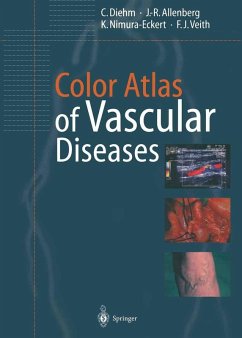 Color Atlas of Vascular Diseases (eBook, PDF) - Diehm, C.; Allenberg, J. -R.; Nimura-Eckert, K.; Veith, F. J.