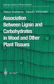 Association Between Lignin and Carbohydrates in Wood and Other Plant Tissues (eBook, PDF)