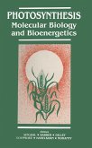 Photosynthesis (eBook, PDF)