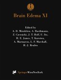 Brain Edema XI (eBook, PDF) Brain Edema XI (eBook, PDF)