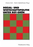 Sozial- und Wirtschaftspolitik unter Rot-Grün (eBook, PDF)
