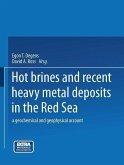 Hot Brines and Recent Heavy Metal Deposits in the Red Sea (eBook, PDF)