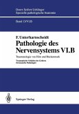 Pathologie des Nervensystems VI.B (eBook, PDF)