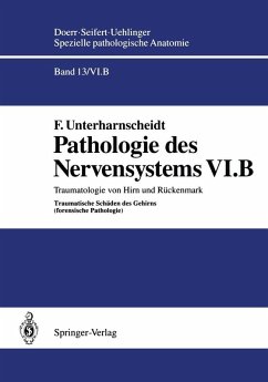 Pathologie des Nervensystems VI.B (eBook, PDF) - Unterharnscheidt, F.