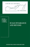 Scale Invariance and Beyond (eBook, PDF)