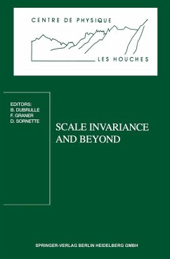 Cover Scale Invariance and Beyond (eBook, PDF)