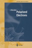 Polarized Electrons (eBook, PDF)