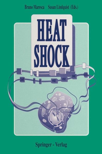 Heat Shock (eBook, PDF)