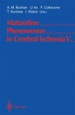 Maturation Phenomenon in Cerebral Ischemia V (eBook, PDF)